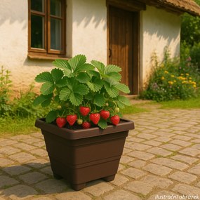 Plastia Bergamot Donica samonawadniająca, brązowy, 50 x 50 cm