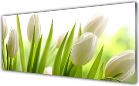 Panel Kuchenny Tęczowy Dywan Tulipanów