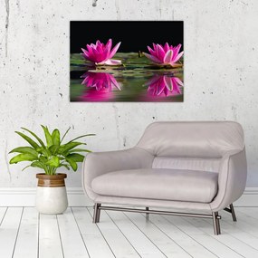 Obraz na szkle lilii wodnych na wodzie (70x50 cm)
