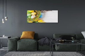 Fotoobraz na płótnie Jajka, Bazie i Tulipany