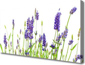 Obraz canvas na ścianę Delikatność Kwiatowych Form