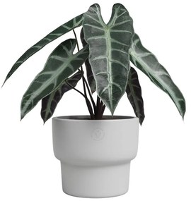 Ceramiczna ręcznie wykonana doniczka ø 17 cm Echo – Artevasi