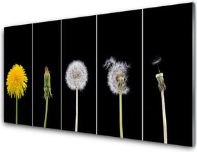 Panel Kuchenny Lekkość Lata: Dmuchawiec