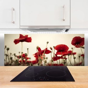 Panel Kuchenny Polne Maki W Rozkwicie