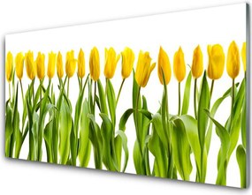 Szkło do Kuchni na Ścianę Tęczowy Dywan Tulipanów