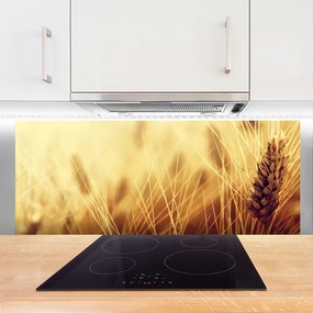 Panel Szklany Kłosy Pszenicy na Wietrze