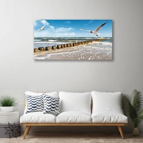 Zdjęcie na płótnie Mewy nad Morskim Brzegiem