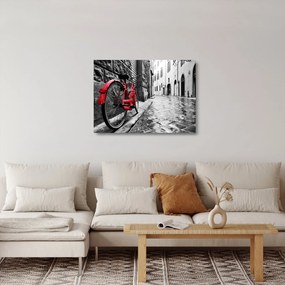 Obraz na szkle czerwonego roweru na brukowanej uliczce (70x50 cm)