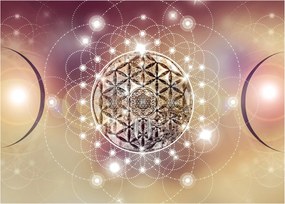 Obraz - Mandala z elementami (70x50 cm)