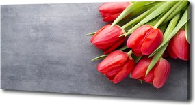 Foto obraz na płótnie Czerwone tulipany