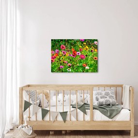 Obraz kwiatów polnych (70x50 cm)