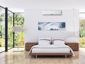 Obraz - Drzewa we mgle (170x50 cm)