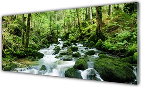 Panel Szklany Szumiący Potok w Gęstwinie Lasu
