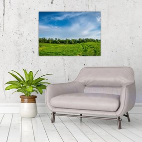 Obraz na szkle - łąka (70x50 cm)