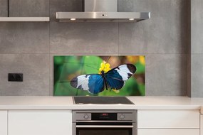 Panel Kuchenny Szklany Egzotyczny Motyl na Płatkach
