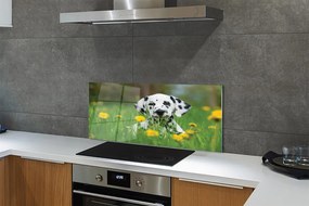 Szklany Panel Szczęśliwy Pies na Zielonej Łące