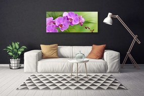 Obraz Canvas Storczyk Orchidea Kwiaty