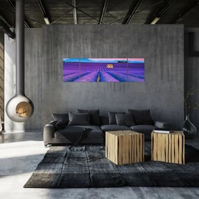 Obraz - Lewndowe pole (170x50 cm)