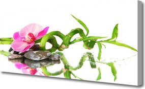 Zdjęcie na płótnie Orientalna Kompozycja Spa