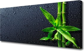 Zdjęcie na płótnie Egzotyczny Pęd Bambusa