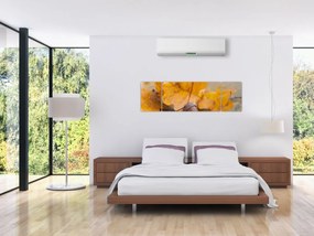 Obraz - Jesienne żołędzie (170x50 cm)