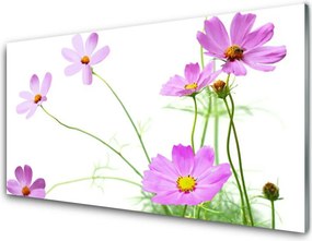 Panel Kuchenny Delikatność Polnych Roślin