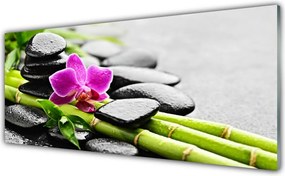 Szkło do Kuchni na Ścianę Egzotyczna Harmonia Spa