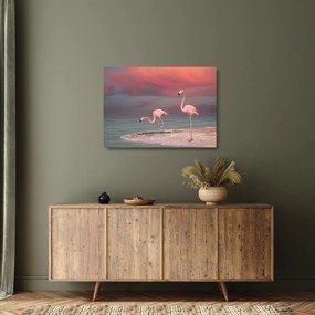 Obraz na szkle flamingów (70x50 cm)