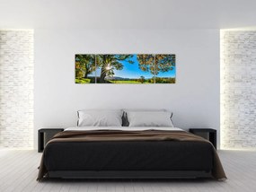 Obraz - widok pola (170x50 cm)