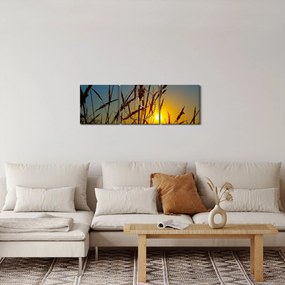 Obraz - Zachód słońca na łące (z zegarem) (90x30 cm)
