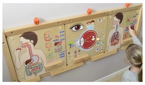 Masterkidz tablica edukacyjna układ oddechowy montessori