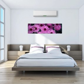 Obraz różowych kwiatów (170x50 cm)