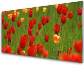 Panel Kuchenny Wiosenna Świeżość Tulipanów