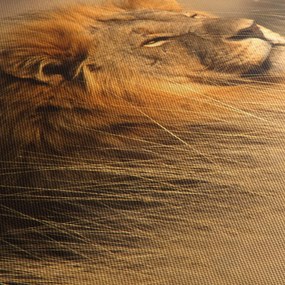 Obraz - Park Narodowy Etosha (170x50 cm)