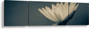 Obraz kwiatu (170x50 cm)