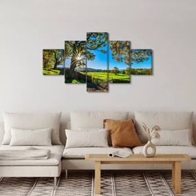 Obraz - widok pola (125x70 cm)