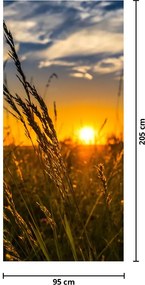 Fototapeta na drzwi - Pole o zachodzie Słońca (95x205cm)