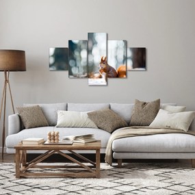 Obraz - Wiewiórka (125x70 cm)