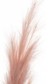 Gałązka Pampas 130cm pink