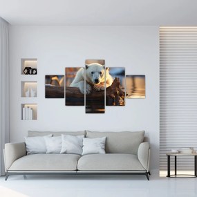 Obraz - Niedźwiedź polarny (125x70 cm)