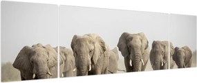Obraz - Stado słoni (170x50 cm)