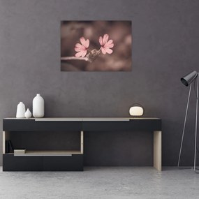 Obraz na szkle - kwiat róży (70x50 cm)