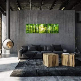 Obraz - Świt w lesie (170x50 cm)