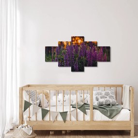Obraz kwiatów łubinu (125x70 cm)