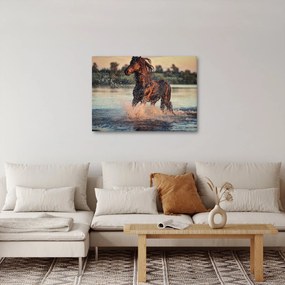 Obraz - Biegnący koń (70x50 cm)