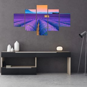 Obraz - Lewndowe pole (125x70 cm)