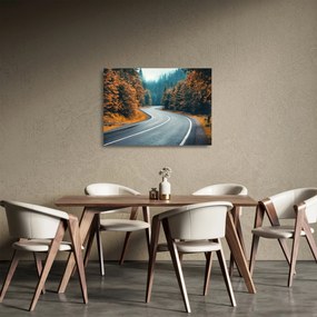 Obraz na szkle - Kręta droga (70x50 cm)