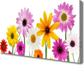 Obraz canvas na ścianę Radosna Łąka Pełna Kwiatów