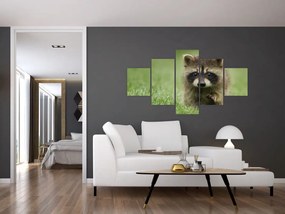 Obraz szopa pracza (125x70 cm)