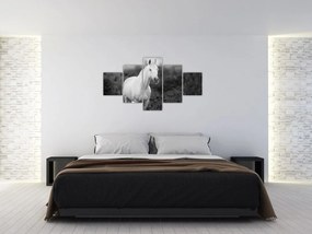 Obraz białego konia na łące, czarno - biały (125x70 cm)